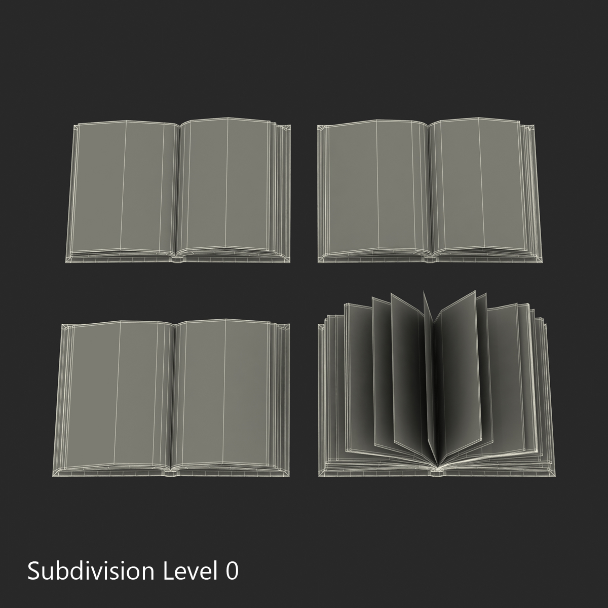 Open Books Set 3D model