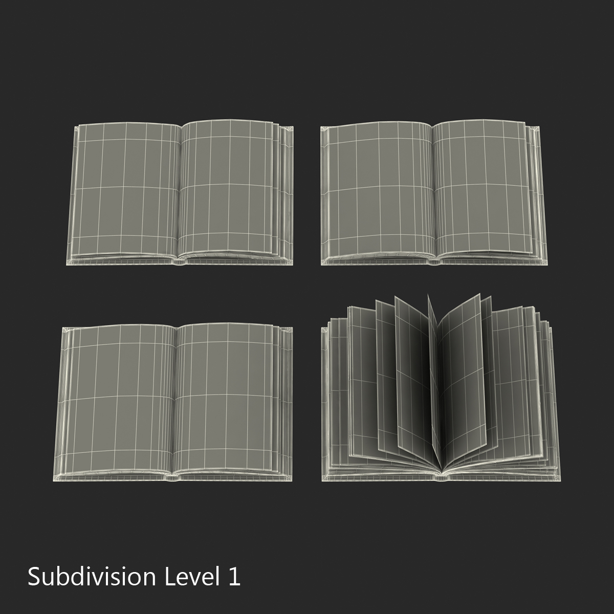 Open Books Set 3D model