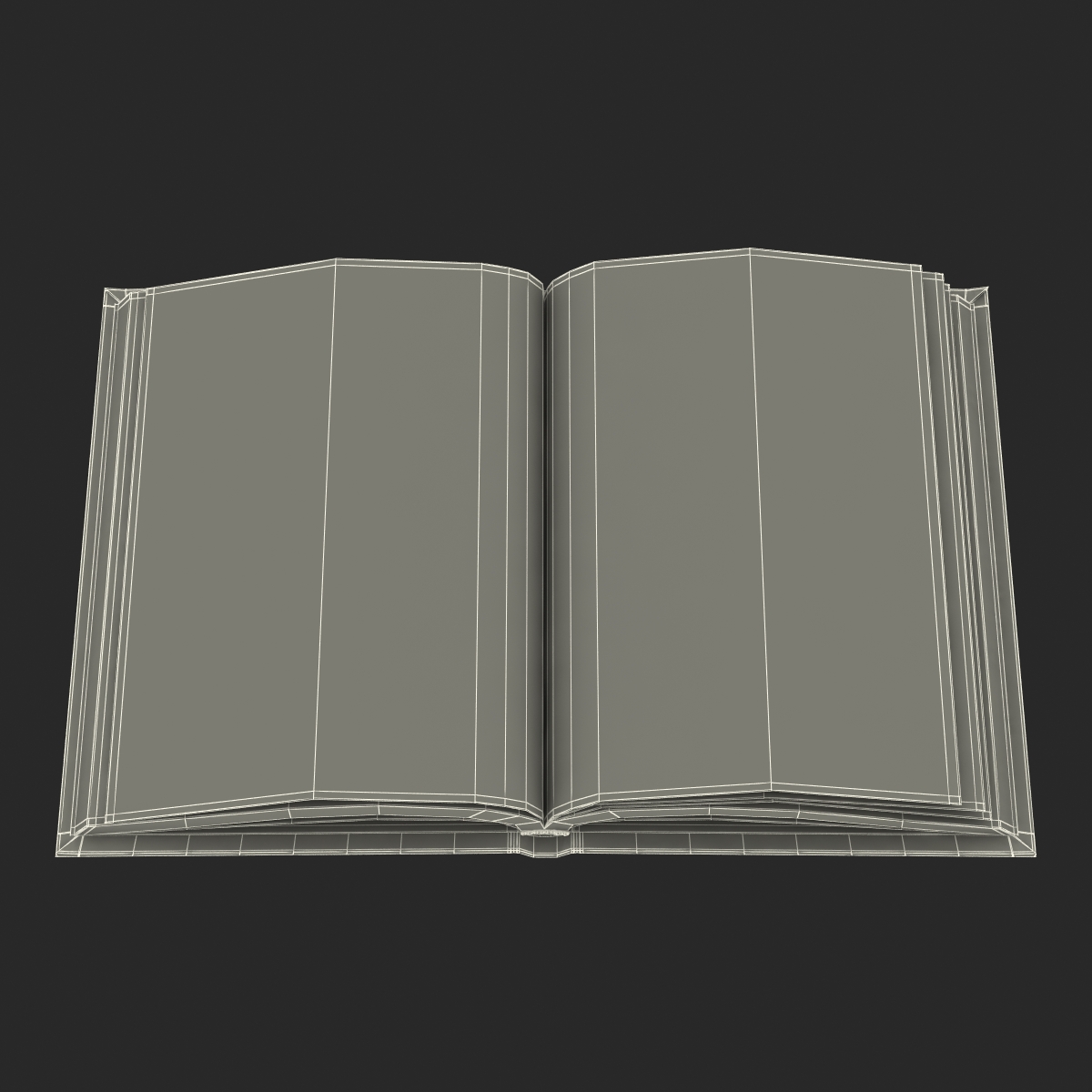 Open Books Set 3D model