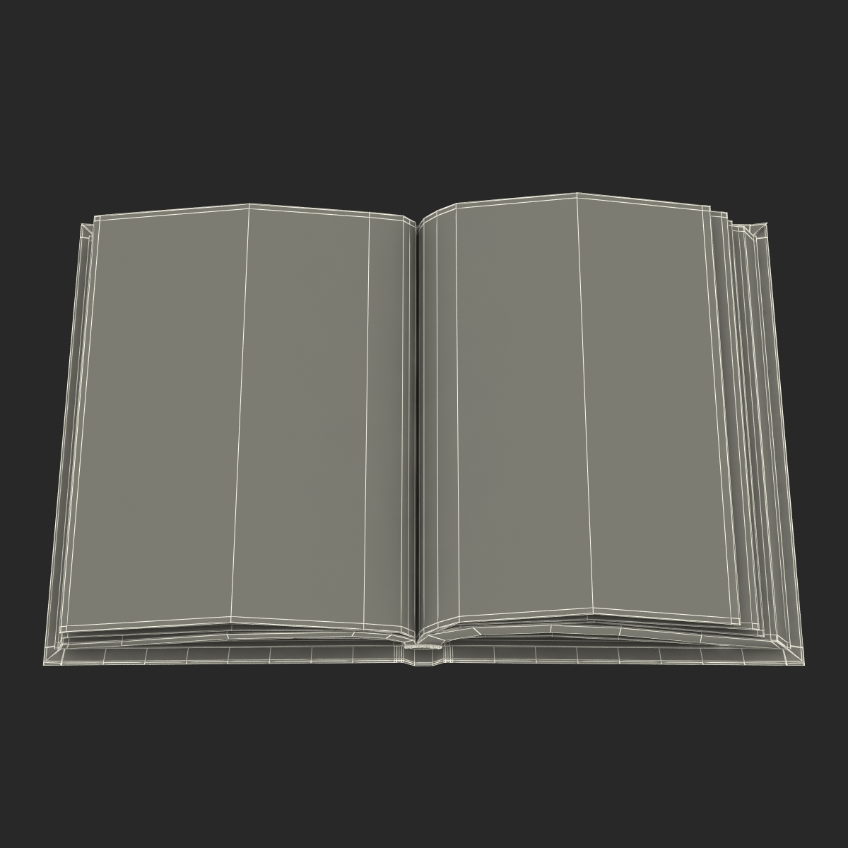 Open Books Set 3D model