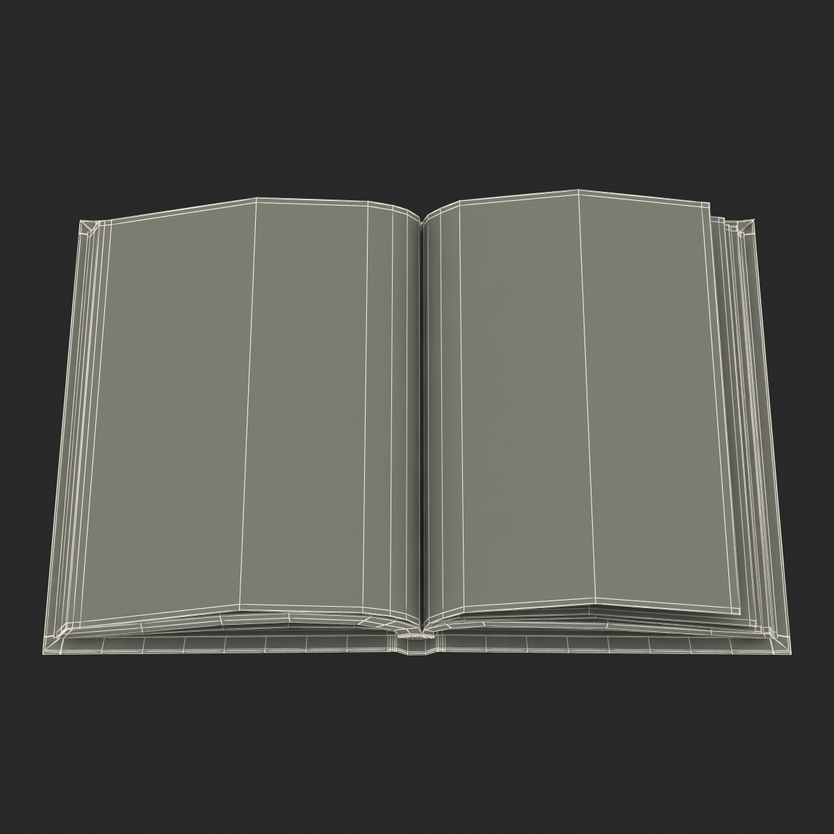 Open Books Set 3D model