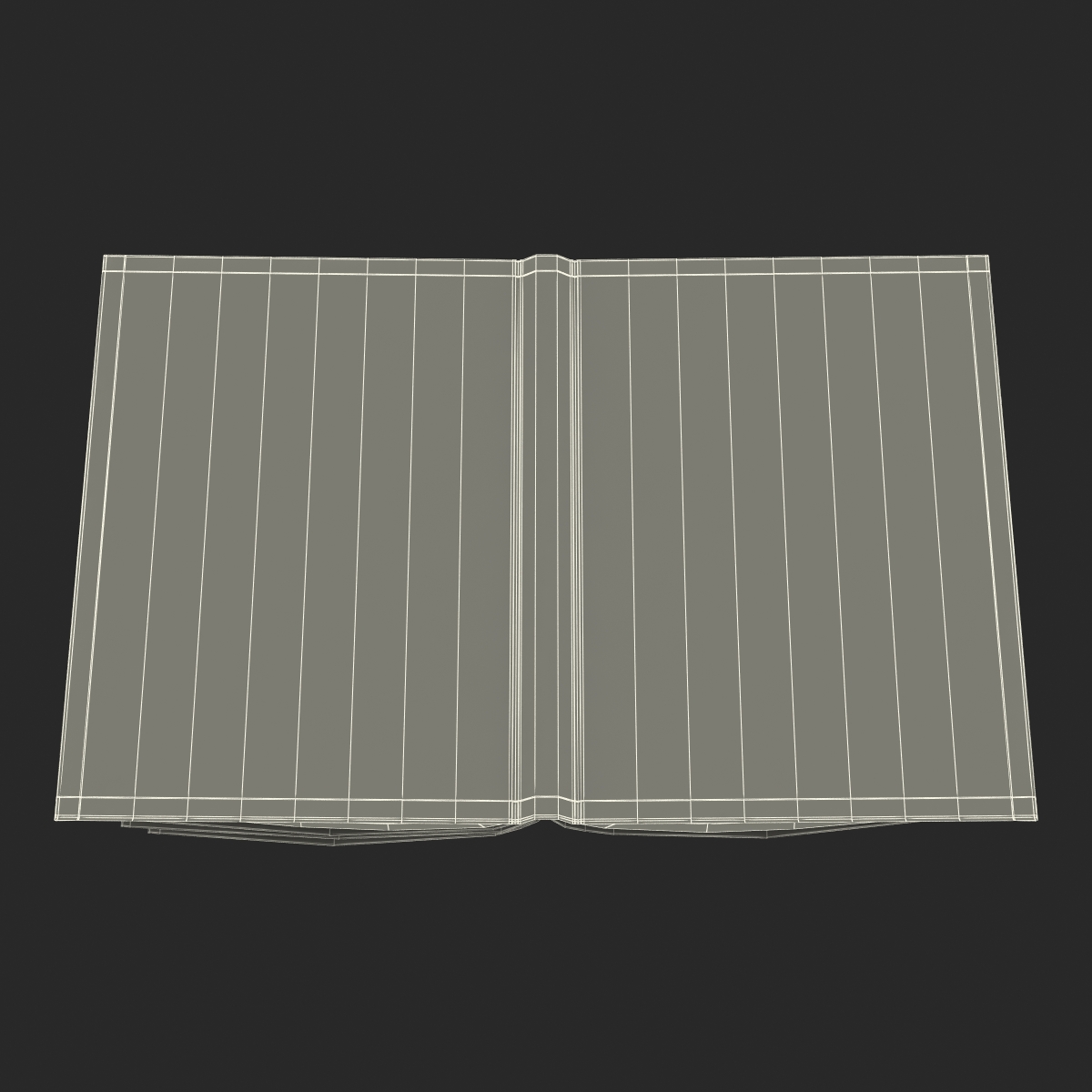 Open Books Set 3D model