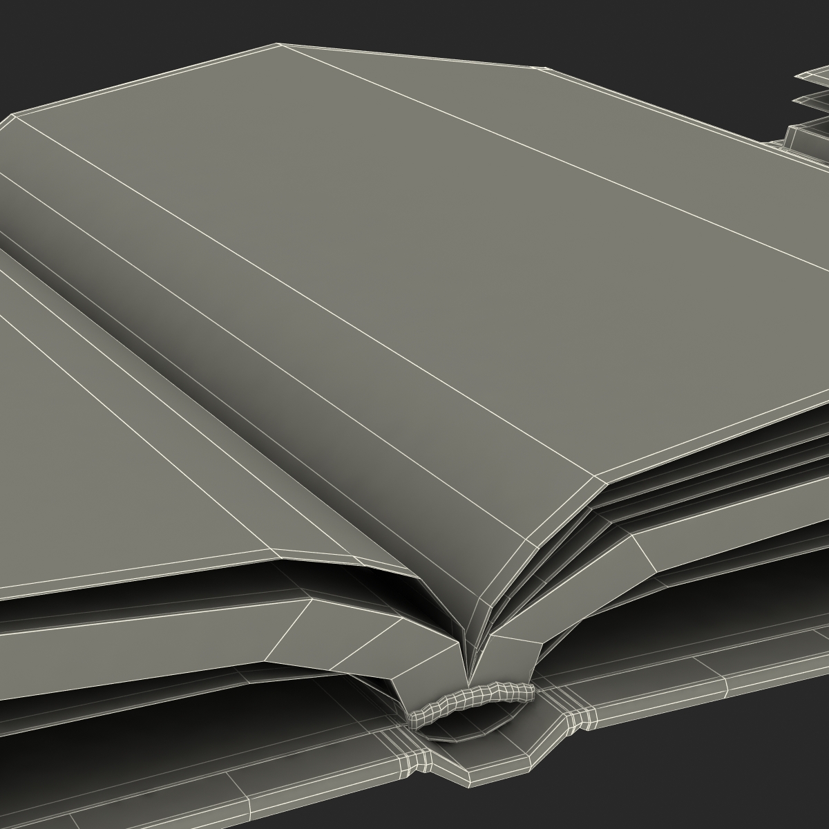 Open Books Set 3D model