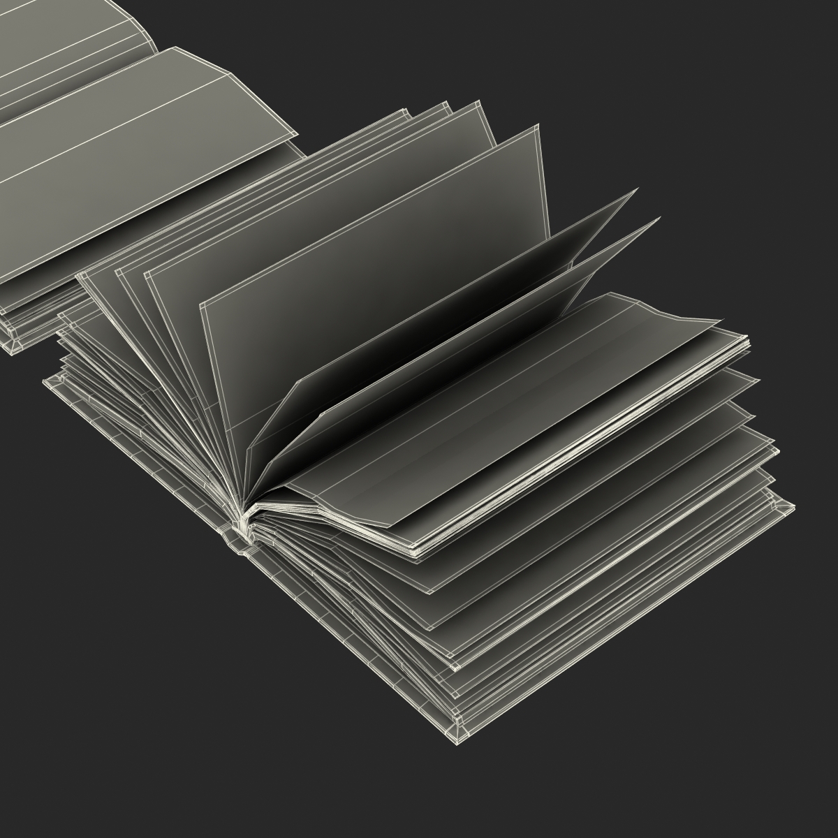 Open Books Set 3D model