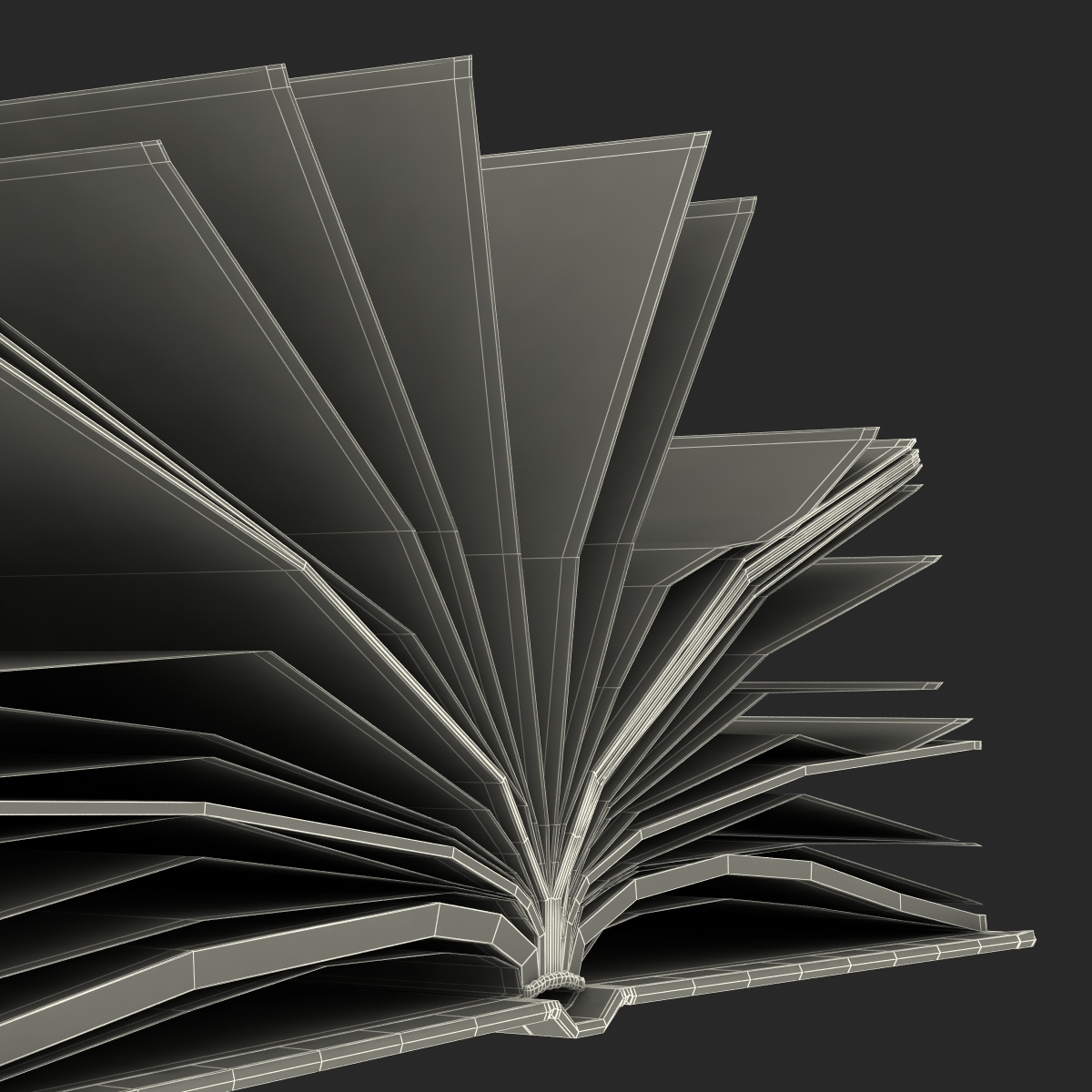 Open Books Set 3D model