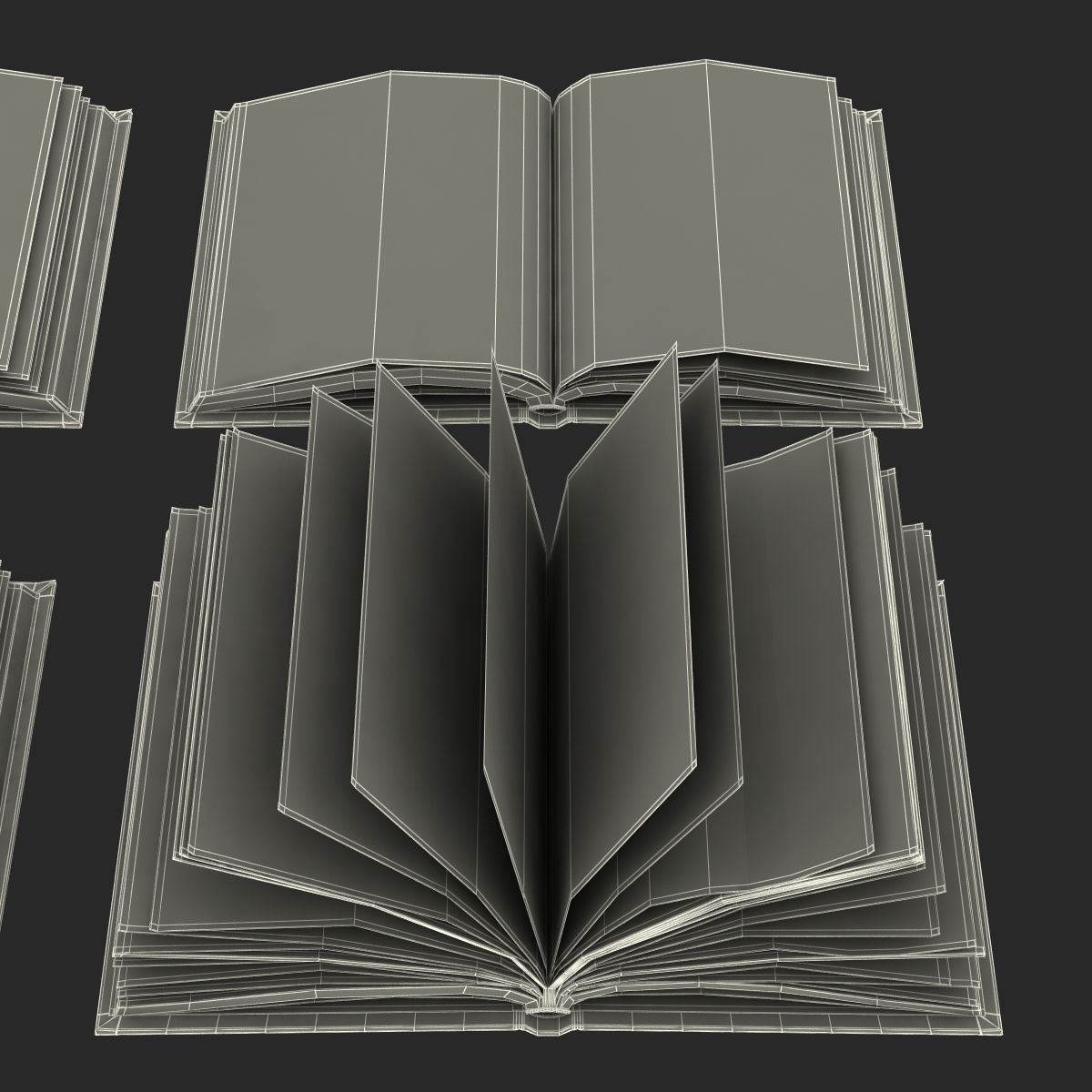 Open Books Set 3D model