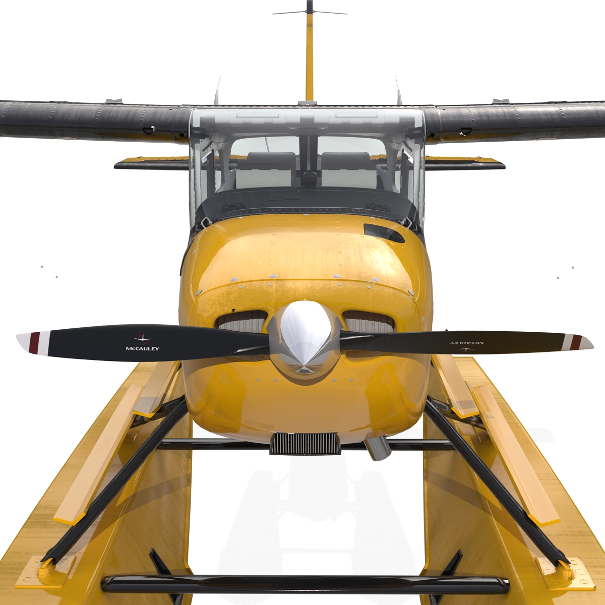 Cessna 172 Black Seaplane Rigged 3D