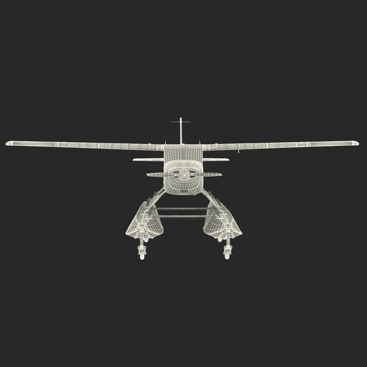 Cessna 172 Black Seaplane Rigged 3D