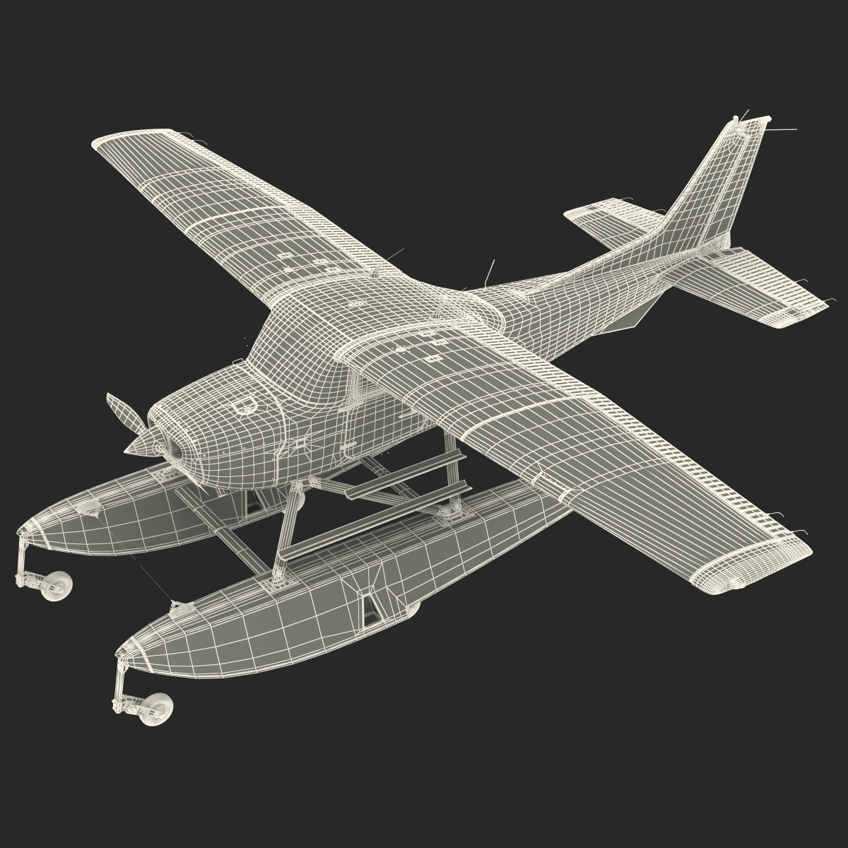 Cessna 172 Black Seaplane Rigged 3D