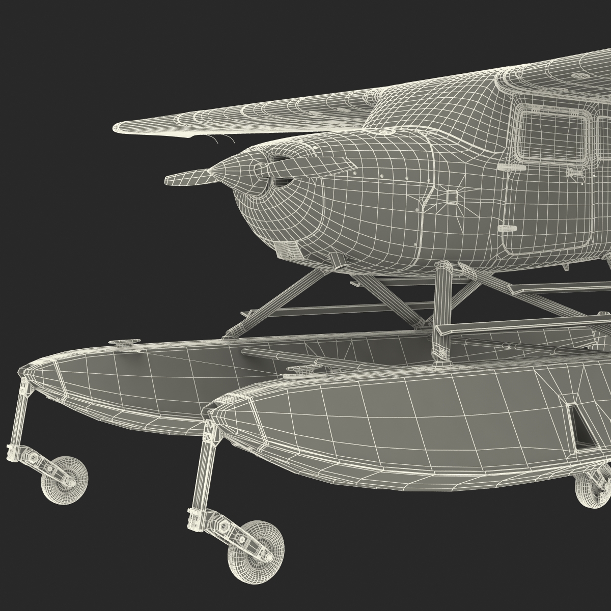 Cessna 172 Black Seaplane Rigged 3D