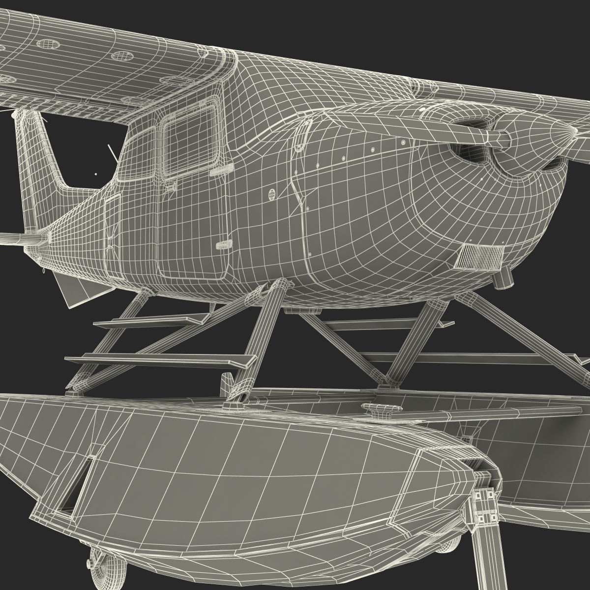 Cessna 172 Black Seaplane Rigged 3D