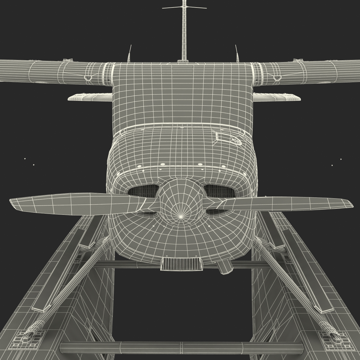 Cessna 172 Black Seaplane Rigged 3D