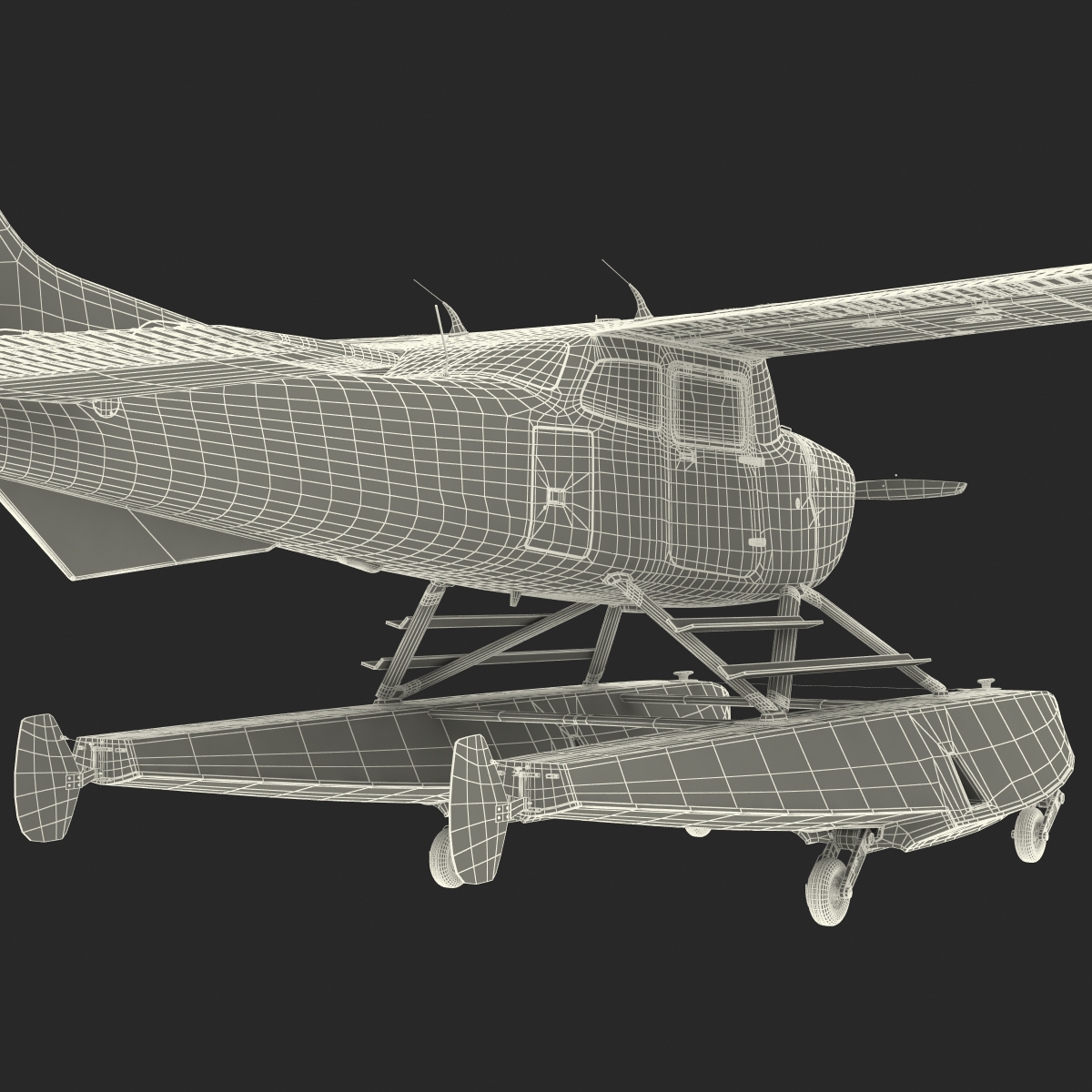 Cessna 172 Black Seaplane Rigged 3D