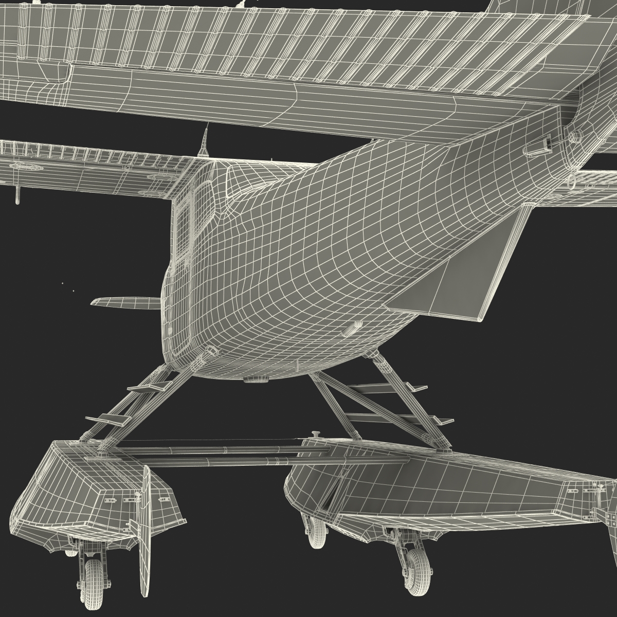 Cessna 172 Black Seaplane Rigged 3D