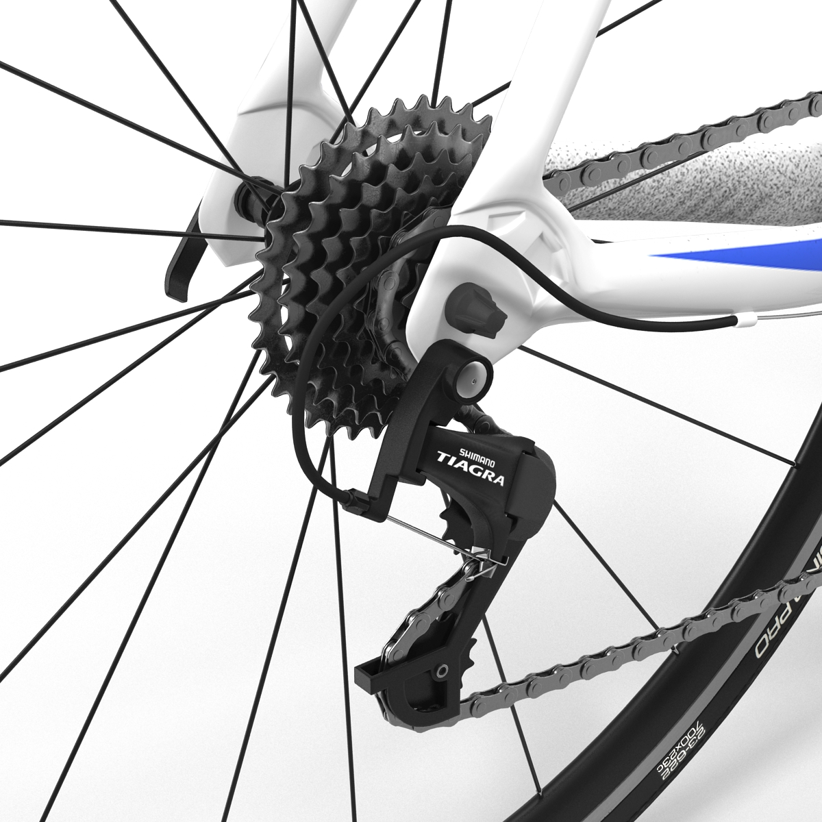 3D model Road Bike Giant