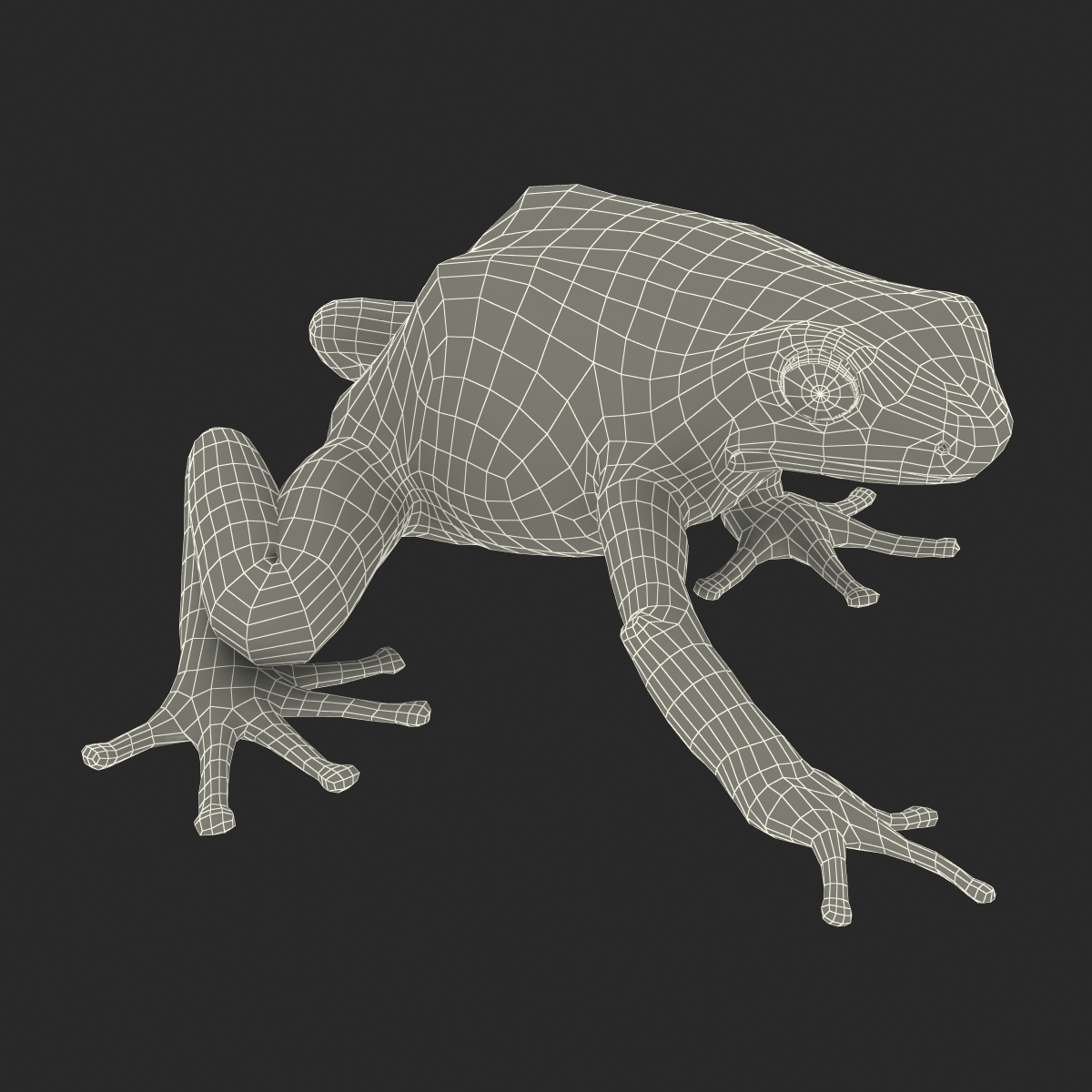 3D Poison Dart Frog Pose 3 model