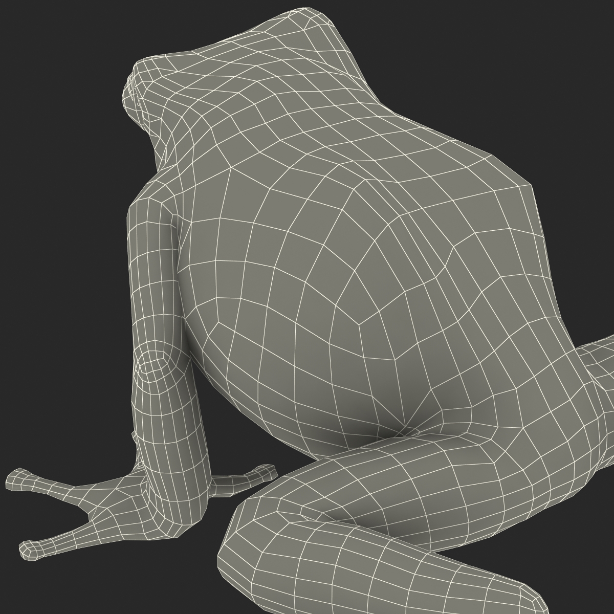 3D Poison Dart Frog Pose 3 model