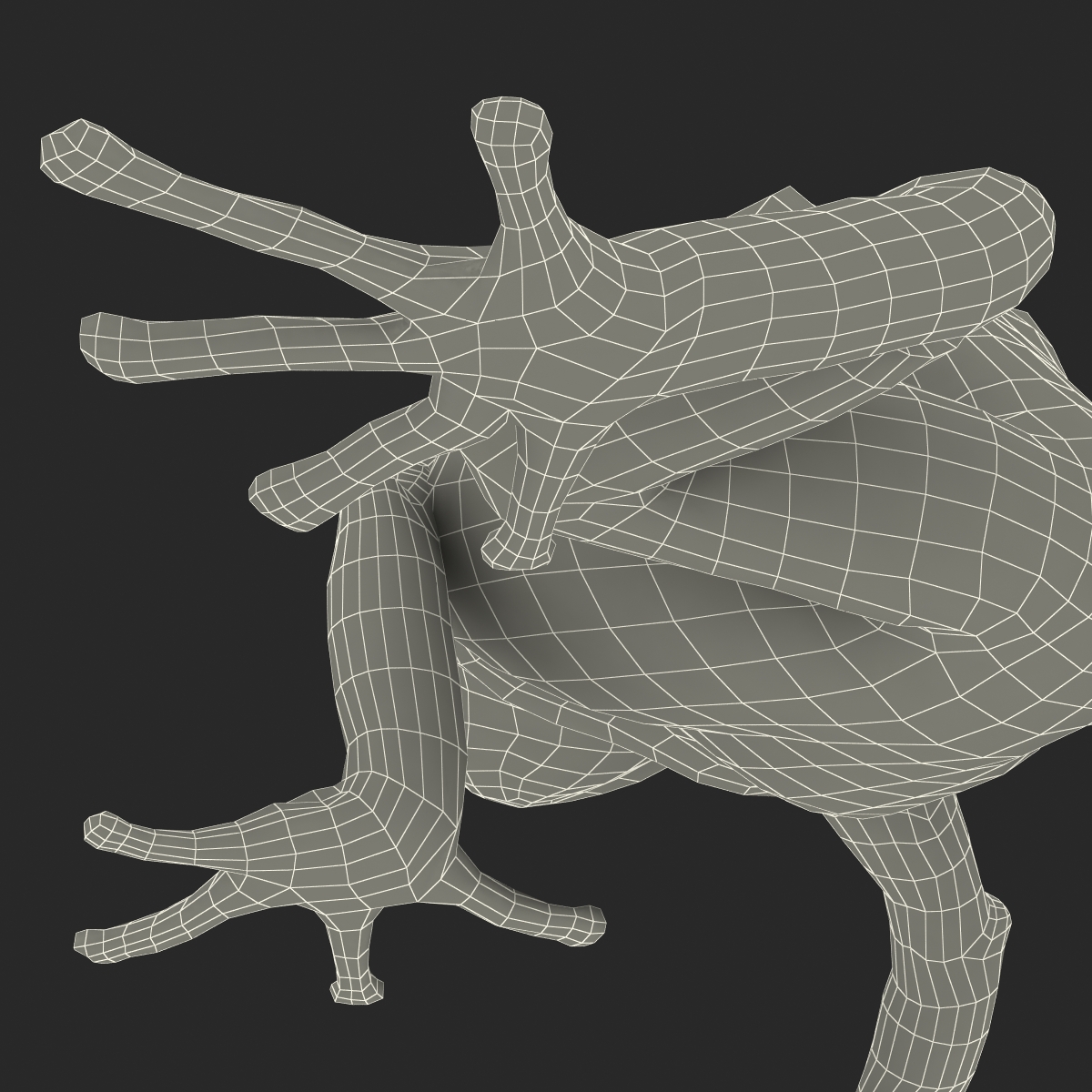 3D Poison Dart Frog Pose 3 model