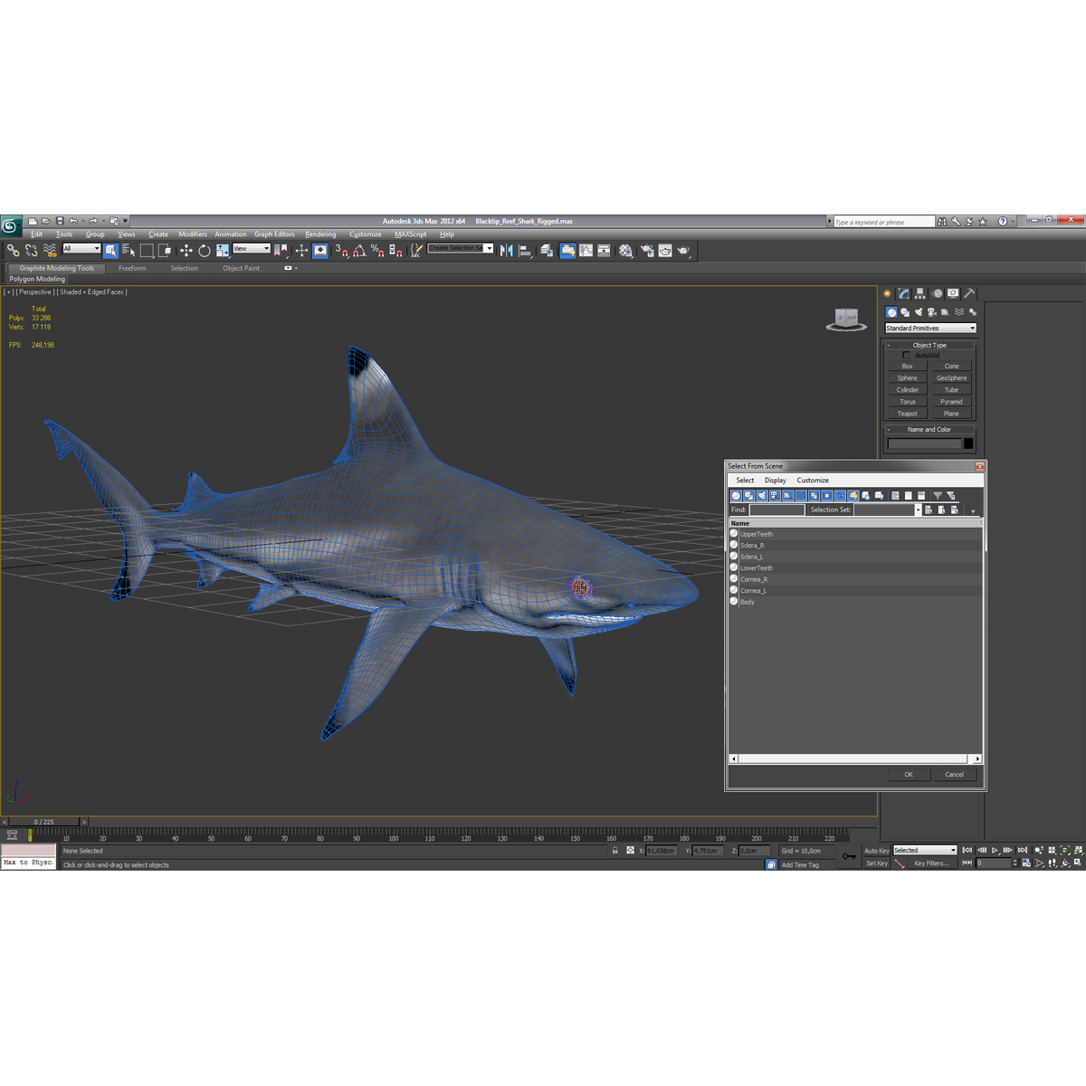 Blacktip Reef Shark 3D model