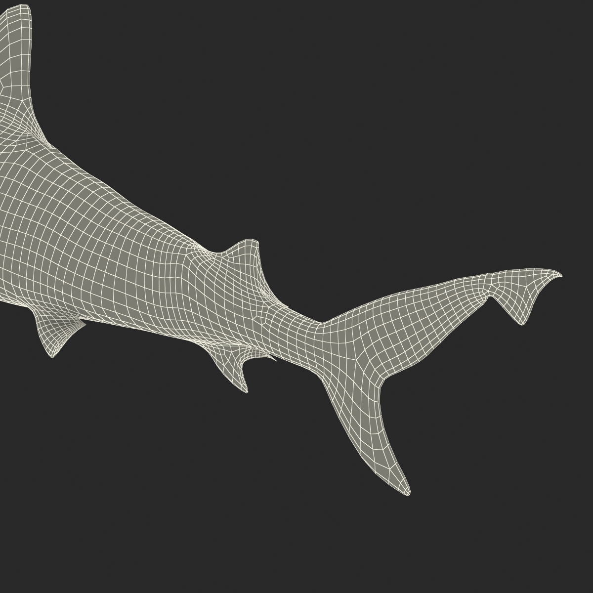 Blacktip Reef Shark 3D model