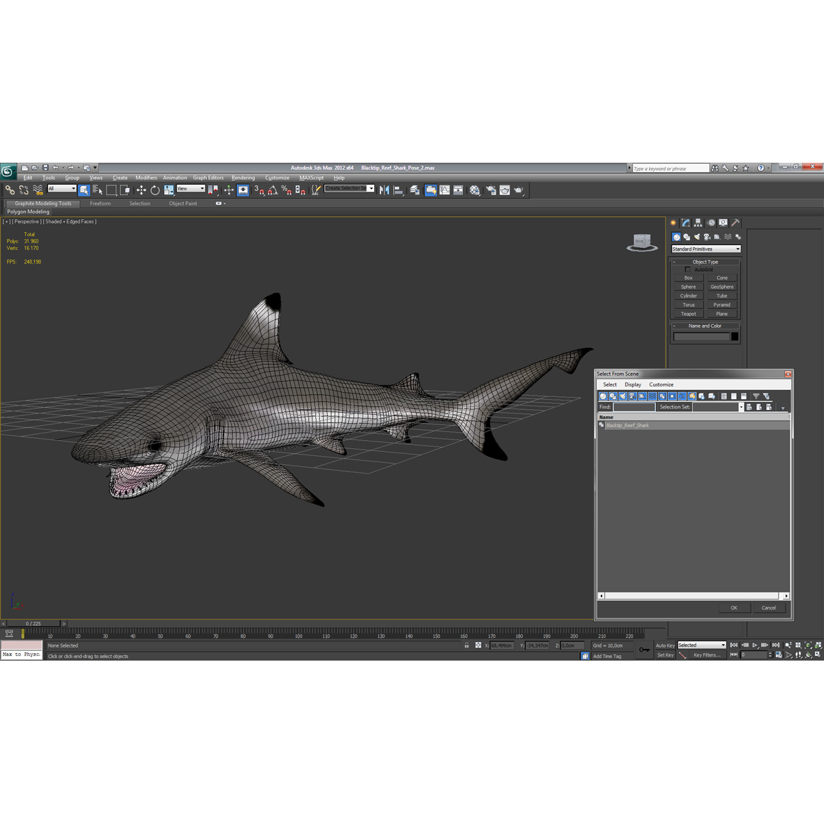 3D Blacktip Reef Shark Pose 2