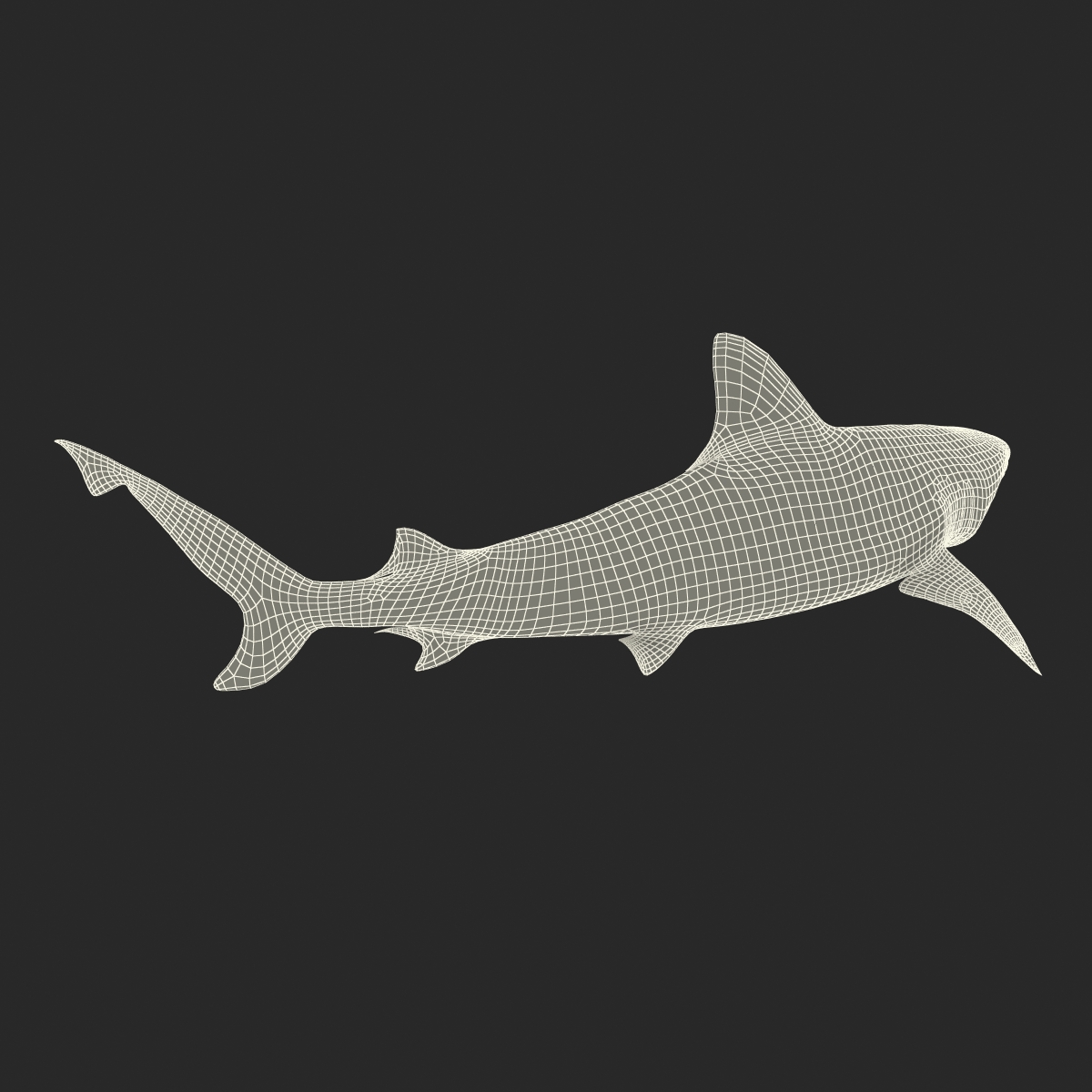 3D Blacktip Reef Shark Pose 2