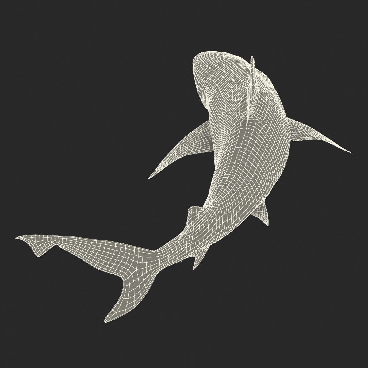 3D Blacktip Reef Shark Pose 2