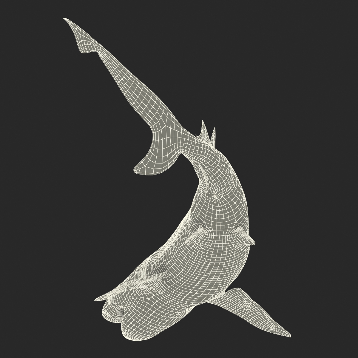 3D Blacktip Reef Shark Pose 2