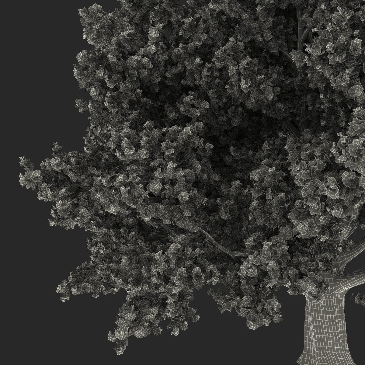 3D Red Oak Old Tree Summer model