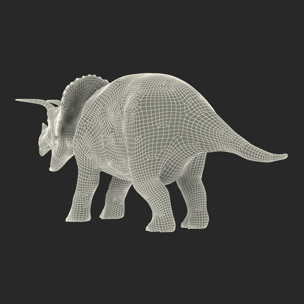 3D Triceratops