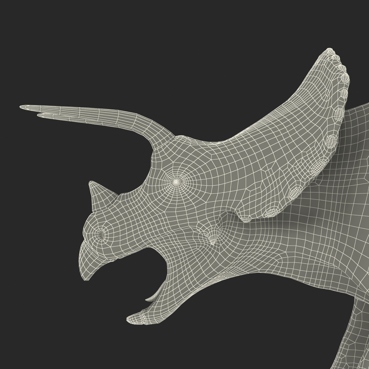 3D Triceratops