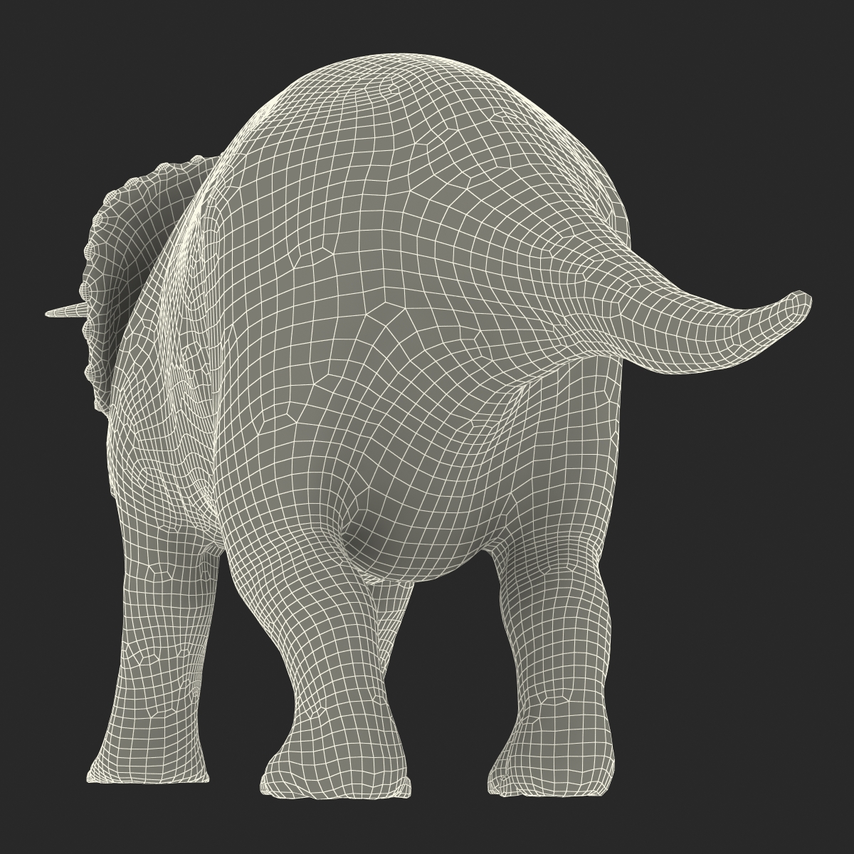 3D Triceratops