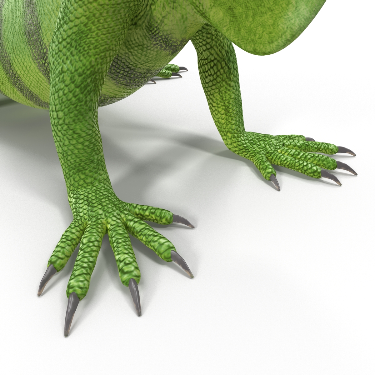 Green Iguana Pose 3 3D model