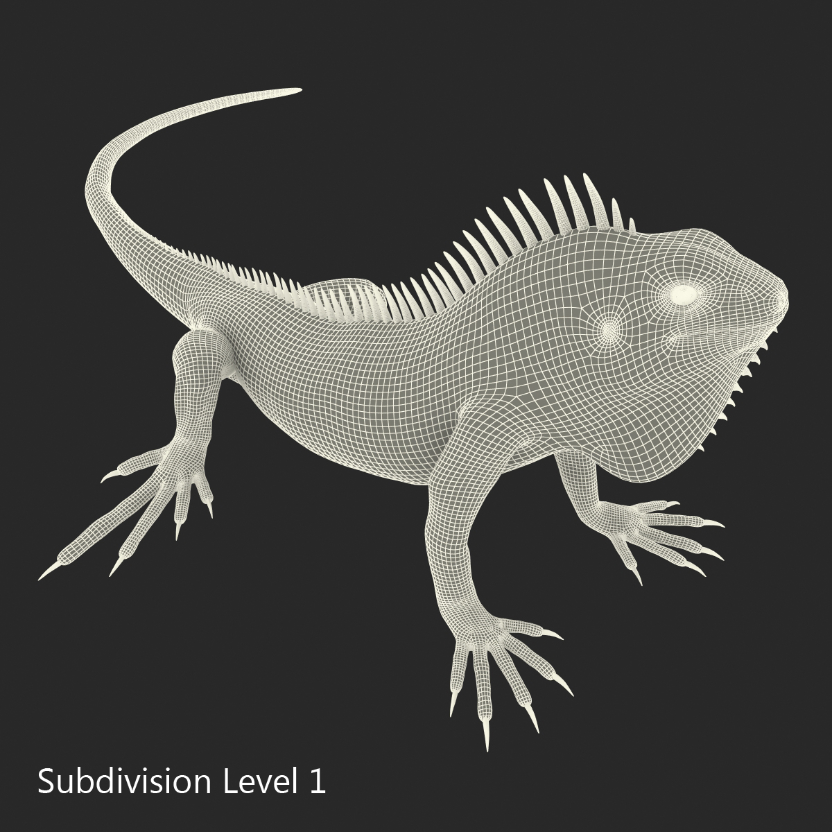 Green Iguana Pose 3 3D model