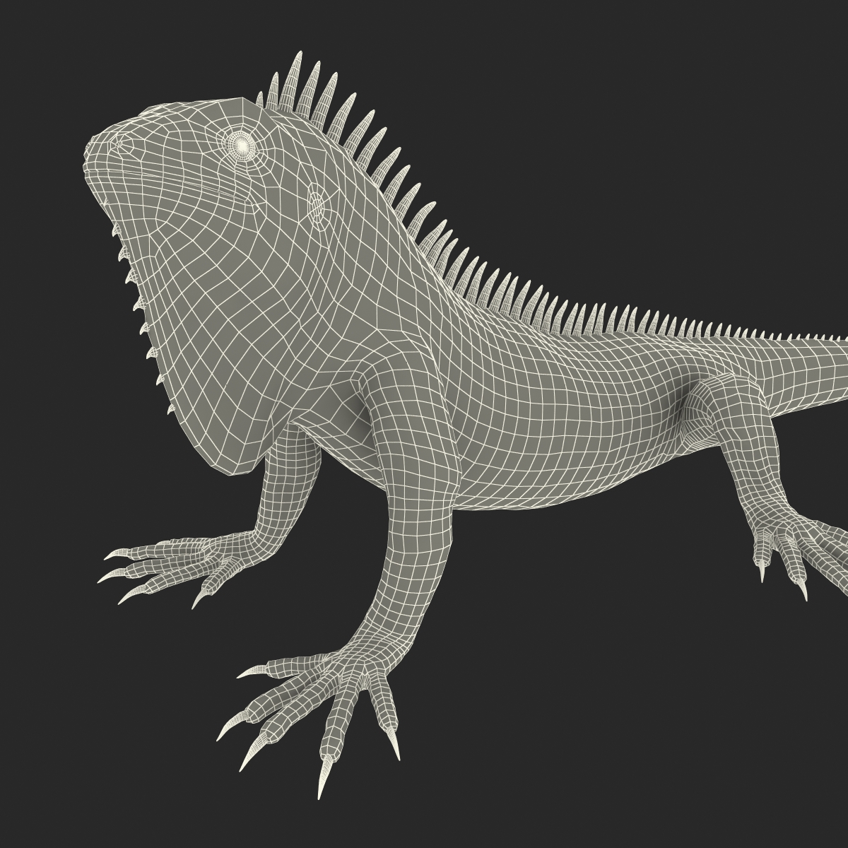 Green Iguana Pose 3 3D model