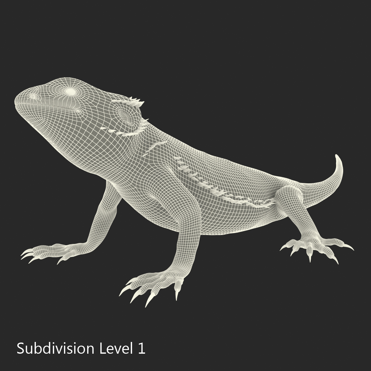 3D Bearded Dragon Pose 2