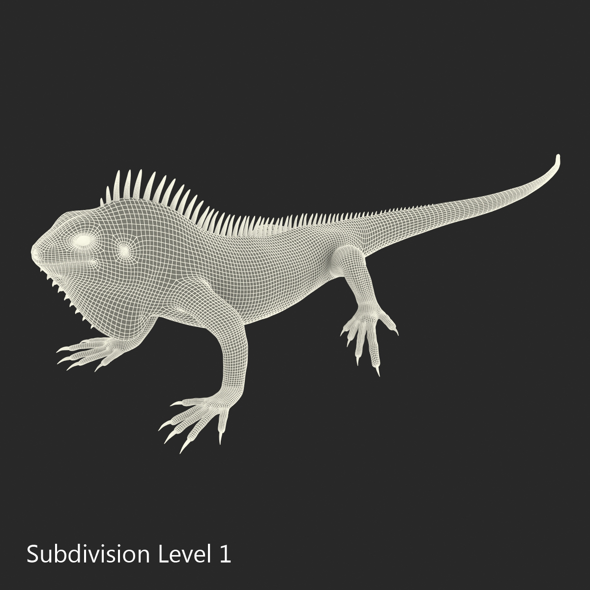 Green Iguana Pose 2 3D model