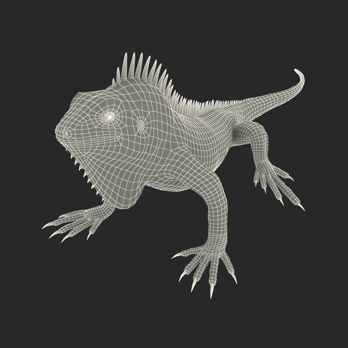 Green Iguana Pose 2 3D model