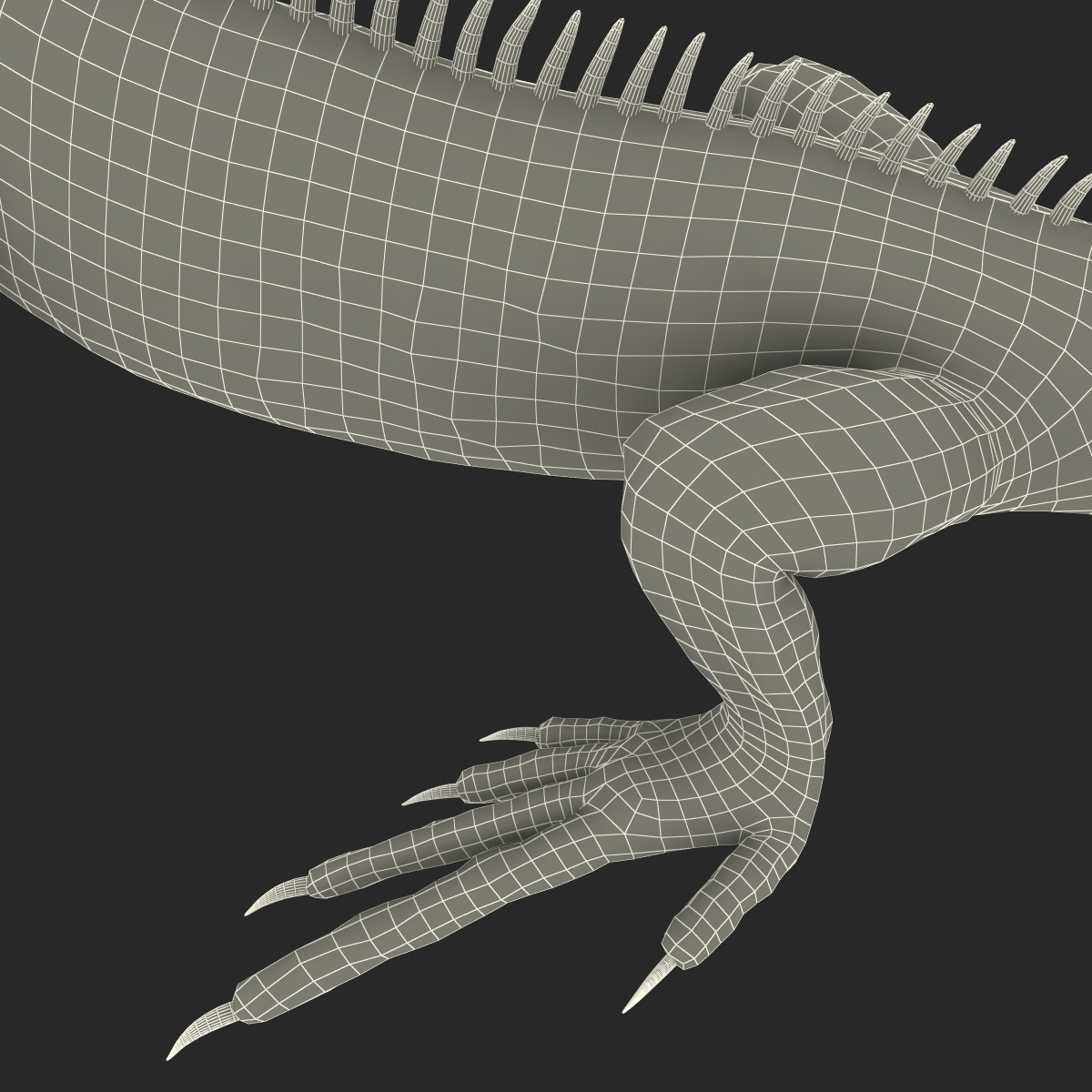 Green Iguana Pose 2 3D model