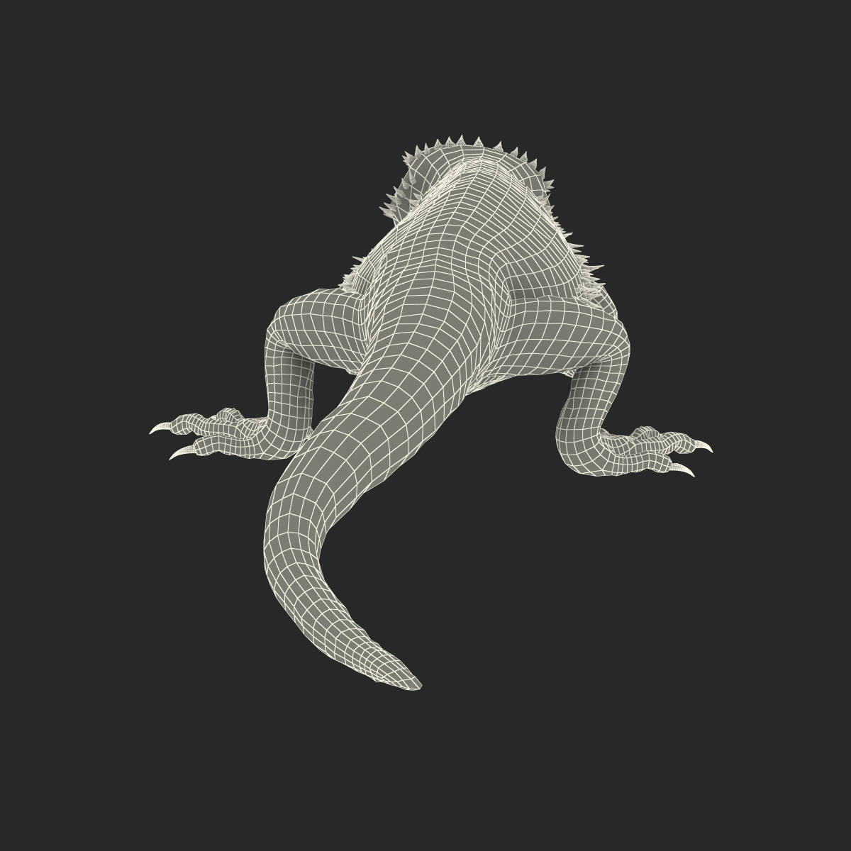 3D Bearded Dragon Pose 3