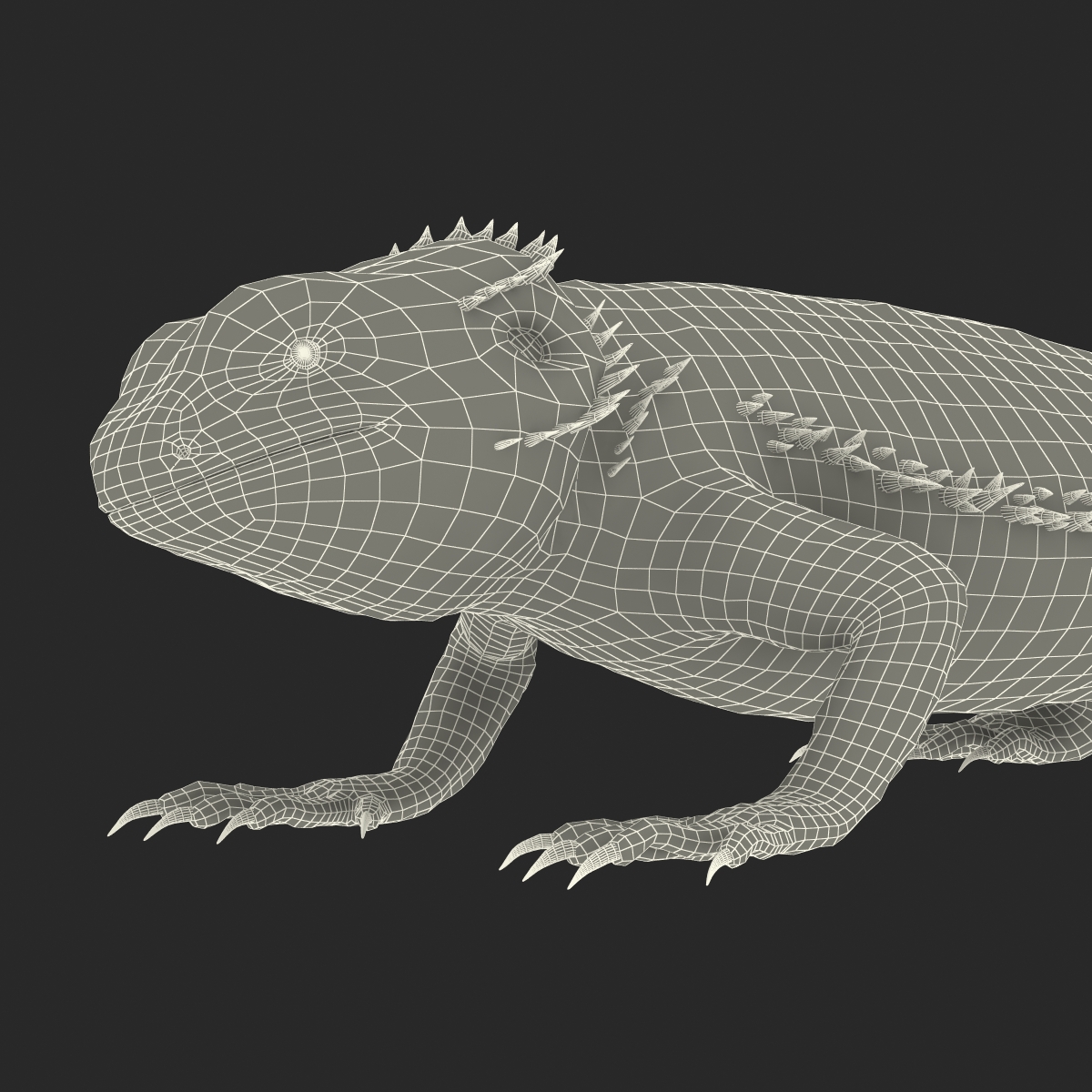 3D Bearded Dragon Pose 3