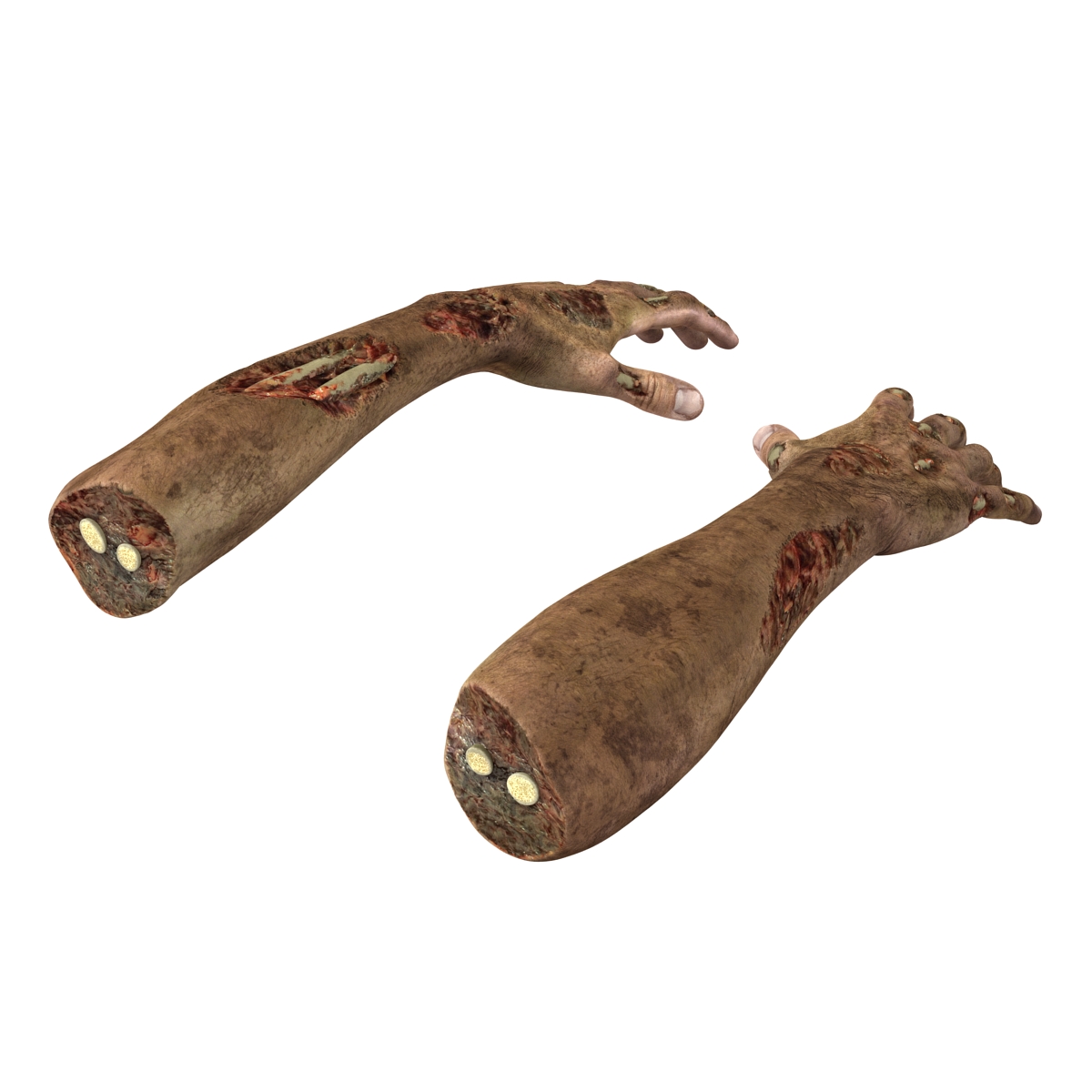 Zombie Hands Rigged 3D model