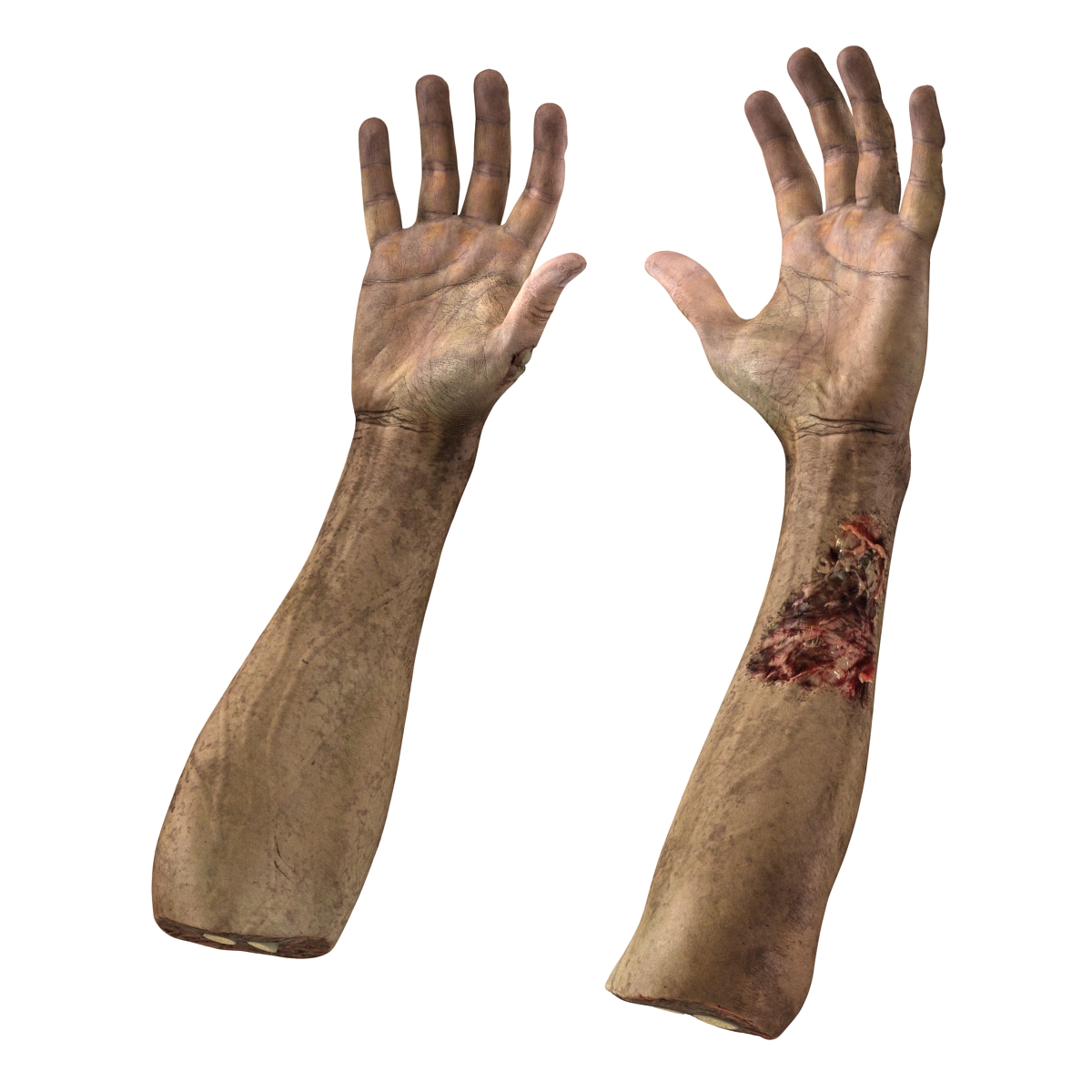 Zombie Hands Rigged 3D model