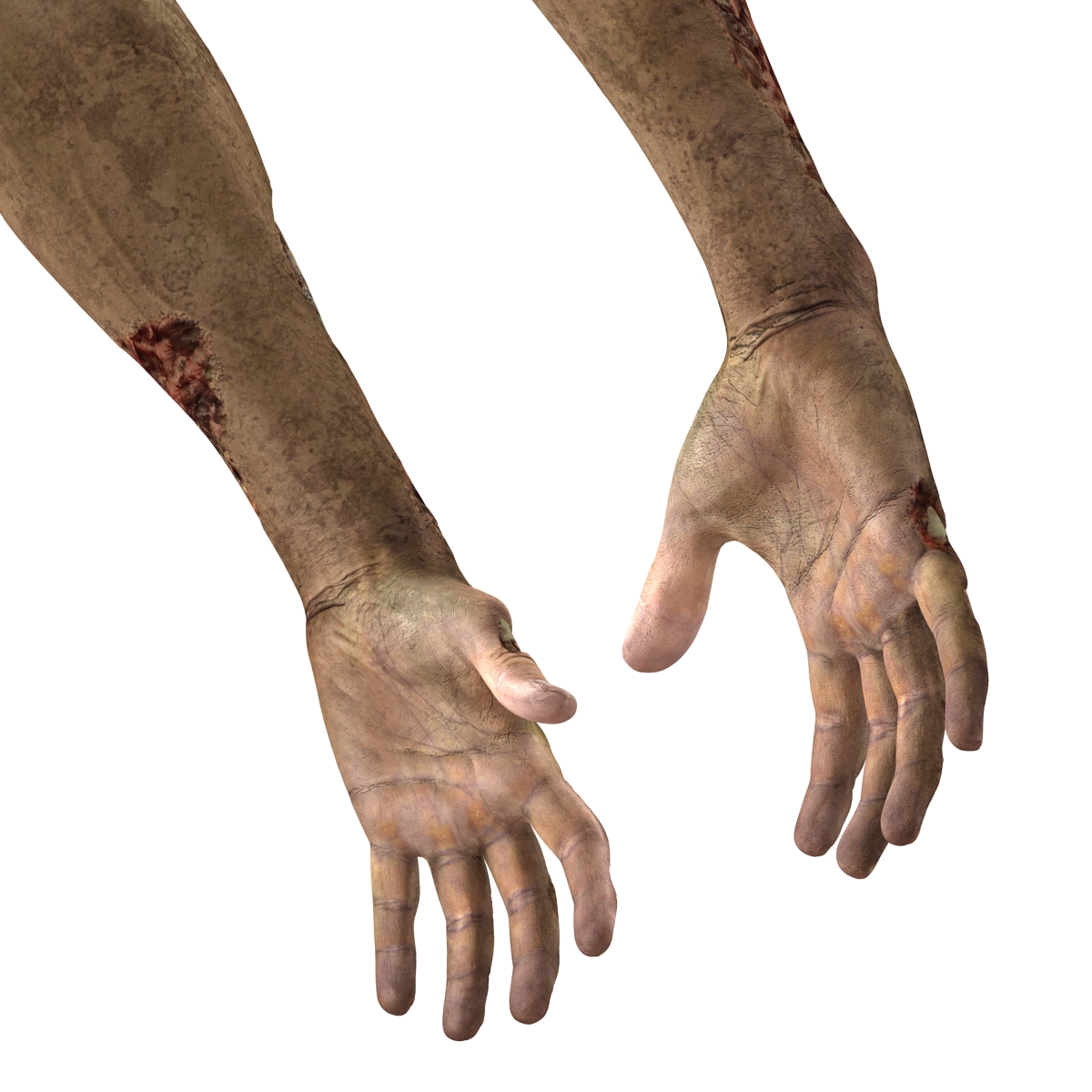 Zombie Hands Rigged 3D model