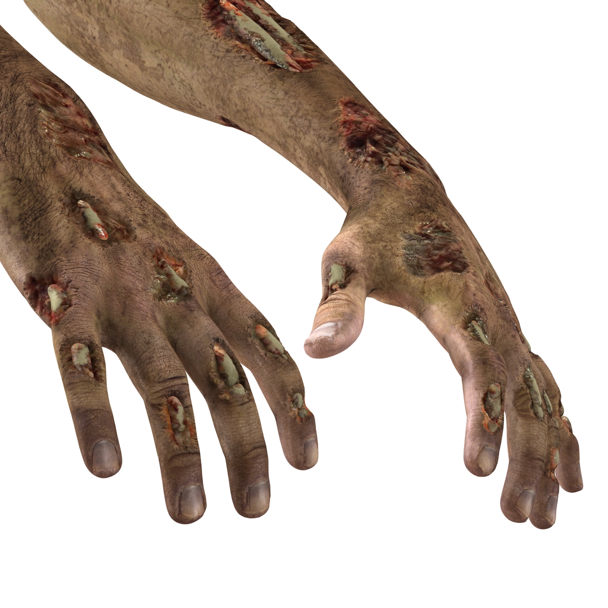 Zombie Hands Rigged 3D model