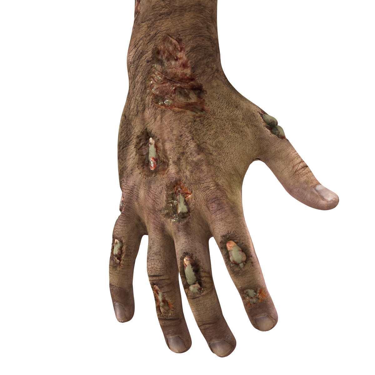 Zombie Hands Rigged 3D model