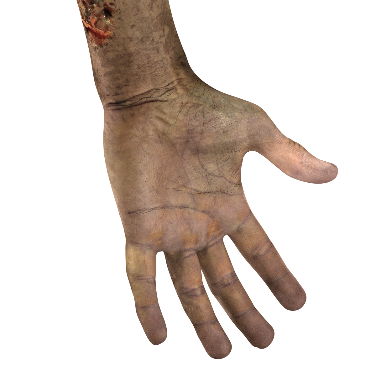 Zombie Hands Rigged 3D model