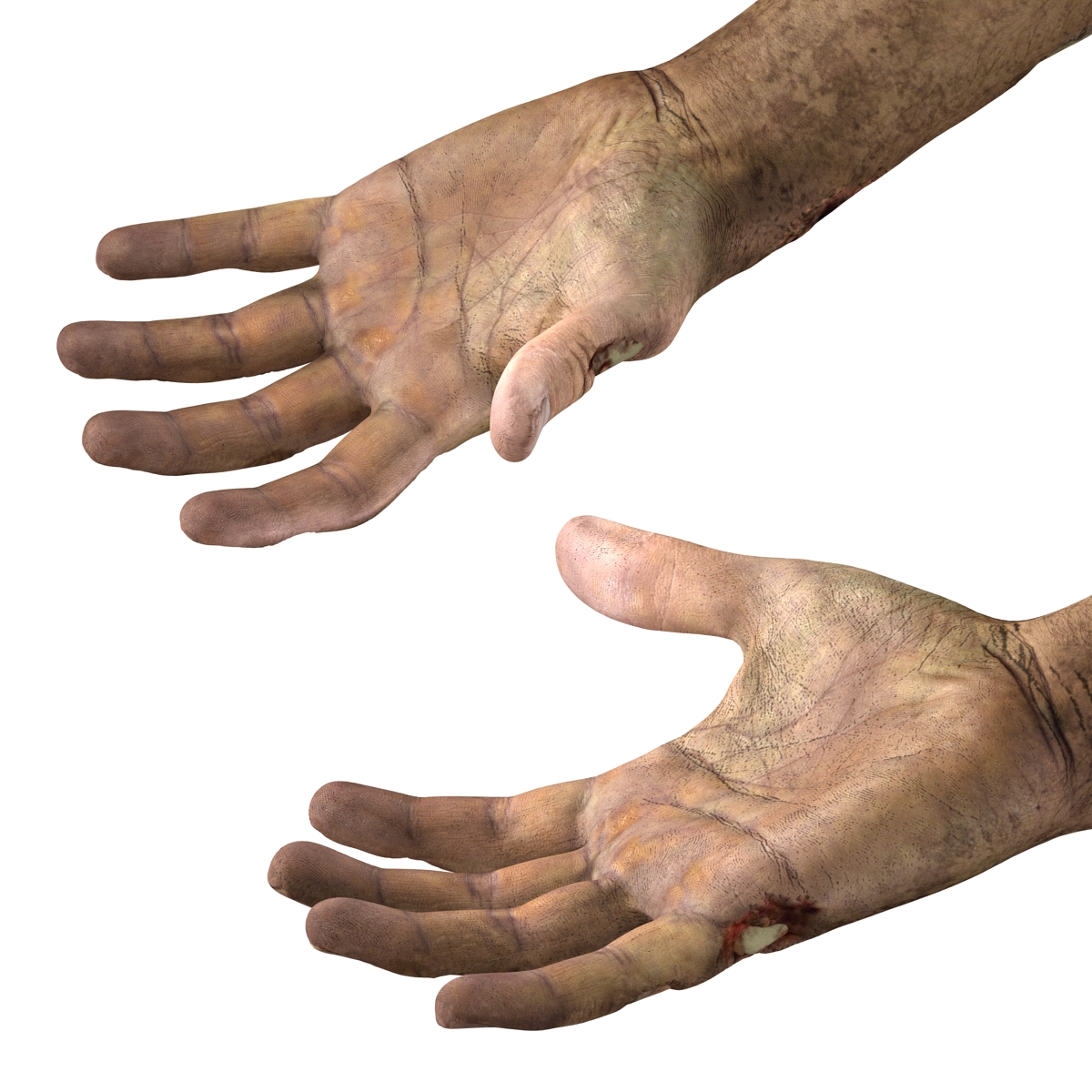 Zombie Hands Rigged 3D model