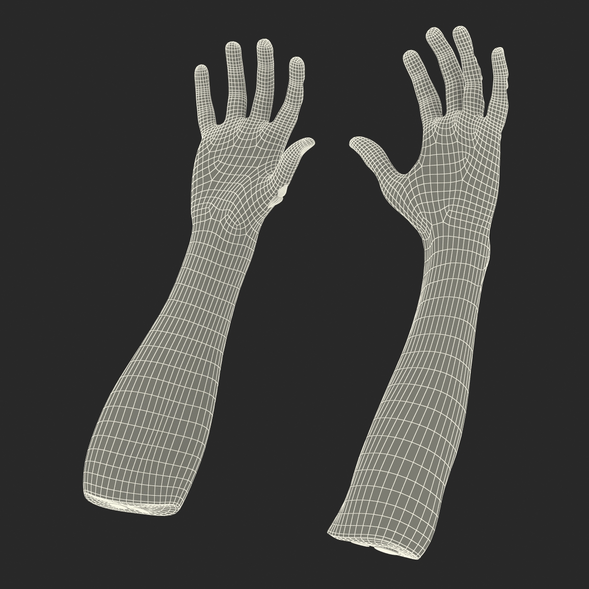 Zombie Hands Rigged 3D model