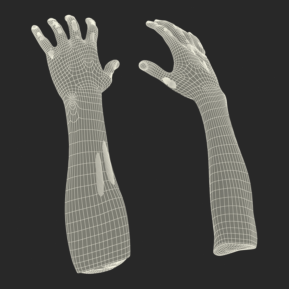 Zombie Hands Rigged 3D model